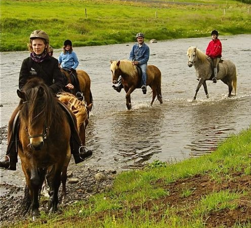 top 10 de las actividades de no puedes perderte en islandia